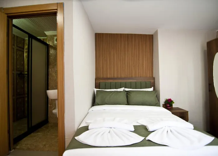 Отель Aurora Eco 3*