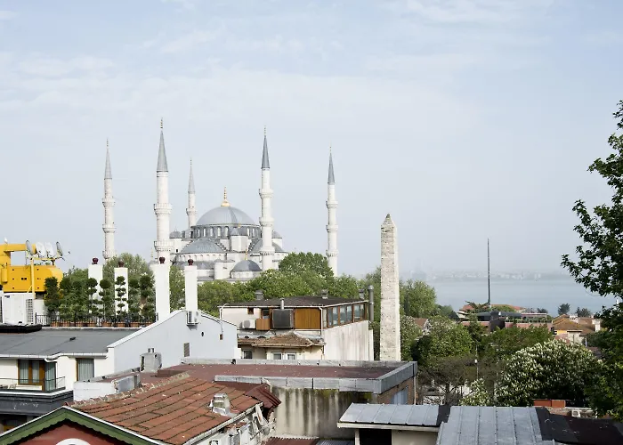 Отель Aurora Eco 3*